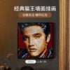 乐高(LEGO)积木 31204 猫王 Elvis Presley