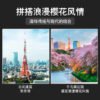 乐高(LEGO)积木 21051 东京天际线