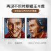 乐高(LEGO)积木 31204 猫王 Elvis Presley