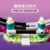 乐高(LEGO)积木 41685 神奇的游乐场过山车
