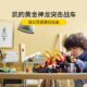 乐高(LEGO)积木 71773 凯的黄金神龙突击战车